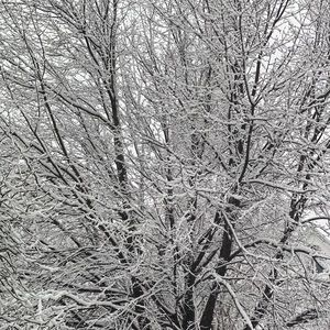 Meet your Posher, Galia